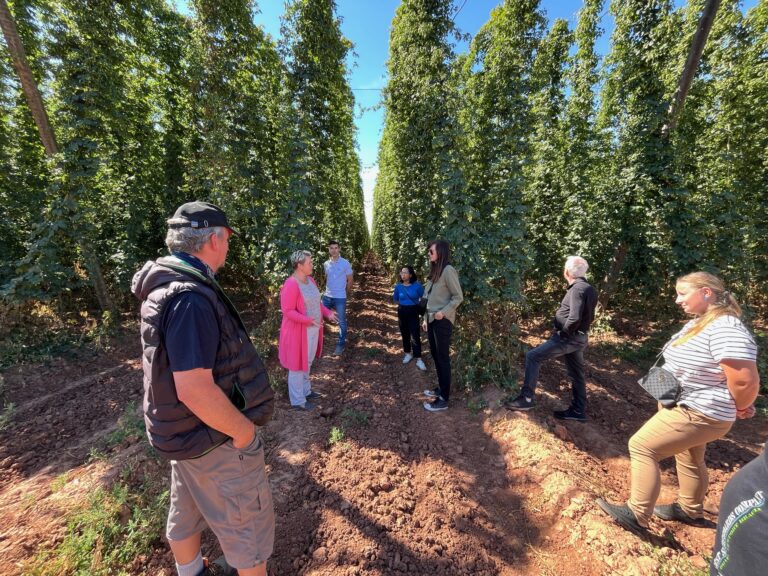 Harvest garden checking with Heineken