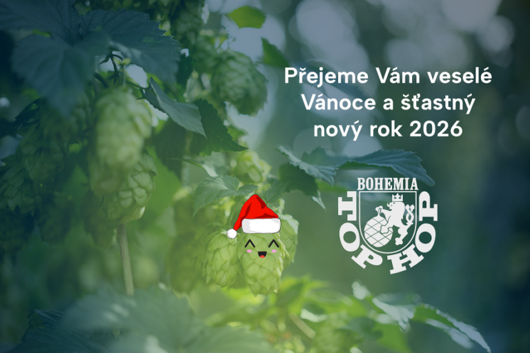 Přejeme Vám hezký konec roku!