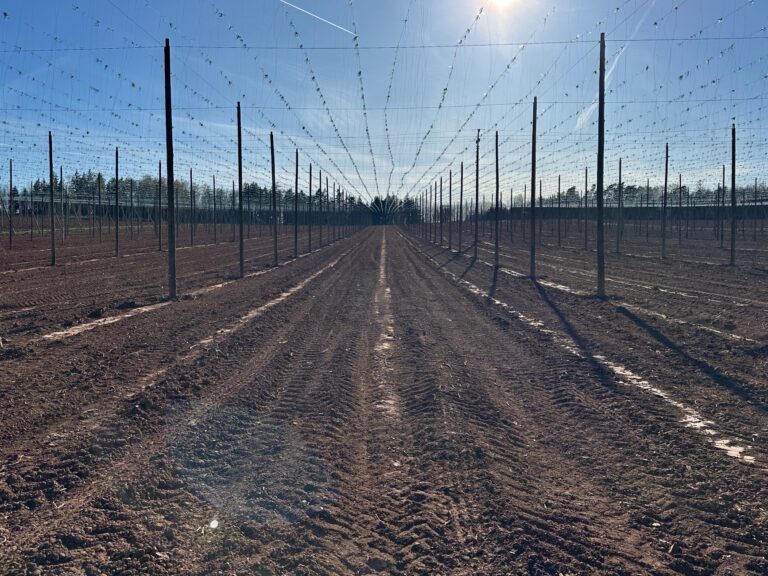 Hop garden spring works